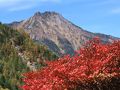 ぐるっと八ヶ岳・清里