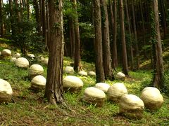 笠間焼の窯元を訪ねて☆陶の小径と陶の杜☆