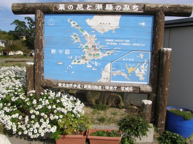 　天気がよさそうだったので、再訪したいと思っていた松島湾の浦戸諸島へ連れ合いも連れて一緒に行ってきた。連れ合いは、仕事で一度行ったことがあるらしいが、どの島に行ったかははっきり覚えていないという。行って見て、今回の目的地の野々島だったことが分かった。<br />　出発が遅れ、最近出来たアウトレット・パーク付近の渋滞にまきこまれ、桟橋に着いたときは予定した船がちょうど出航した時だった。<br />　結局、島への滞在時間は約１時間しかなかったが、それなりに収穫はあった…と思う。