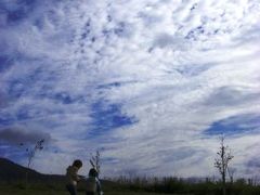 牛だ、紅葉だ！家族で、蒜山高原の秋キャンプ　（２日目・蒜山ジャージーランド編）