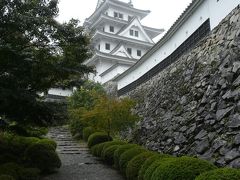 郡上～高山～世界遺産へ『郡上の八幡城でもみじ狩り』