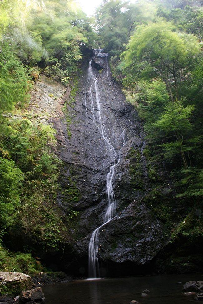 京都縦貫道の終点、丹波ＩＣから９号線に出るとすぐに「琴滝」の看板がある。<br />案内に従って道を進むと駐車場。<br />そこから２～３分で滝に着く。<br /><br />「京都の自然２００選」に選ばれている滝。<br />落差約４０ｍ、一枚岩の上を幾筋にも分かれた水が落ちていく。<br />その１本１本が琴糸の様に見えるから名付けられたのだろうか？<br /><br />滝の周りは整備されていて、ライトアップ用の照明も備え付けられている。<br /><br />場所はここ↓<br />http://map.yahoo.co.jp/pl?type=scroll&amp;amp;lat=35.13665173&amp;amp;lon=135.44214148&amp;amp;sc=7&amp;amp;mode=map&amp;amp;pointer=on
