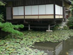 日本の旅　関西を歩く　兵庫県・龍野（たつの）の聚遠亭（しゅうえんてい）と龍野神社