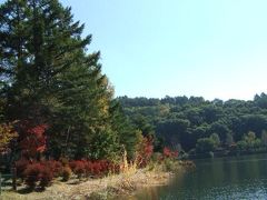 紅葉し始めの蓼科へ【７】～蓼科湖～