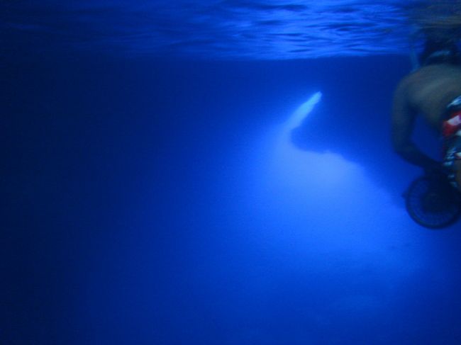 3連休が取れたら海外へ!シリーズ。<br />去年のソウル・上海に引き続き第三弾!!<br /><br />さて今年はどこへ行こうかな〜と考えたところ<br />今年の夏せっかく水着をめちゃめちゃ久しぶりに買ったのに<br />着ていないと思いビーチに決定!<br /><br />3日で楽しめそうなとこといったらグアムかサイパン<br />なんかどっちも私にすごく似合わない気がするけど<br />去年までぜんぜん行きたいと思って思っていなかったソウル<br />は行ったらめちゃめちゃ楽しかったし<br />行かず嫌いはダメってことが分かったので。<br /><br />サイパンの方がなんとなくいなかっぽくて<br />よさそうなイメージ(勝手な)だったので<br />サイパンに決定!<br /><br /><br />