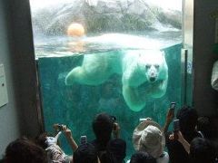 旭山動物園に行く!!