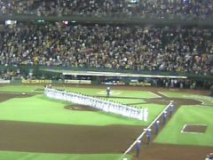 2008秋 プロ野球最終戦　阪神×中日 　スカイマークスタジアム