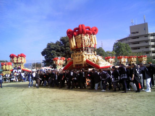 2日目:ちょうさ かきくらべ<br /><br /> 香川旅行の2日目、ちょうさ祭りはクライマックスの3日目になります。<br /> 午前中は琴弾公園に行くことにしました。<br /> 琴弾公園・・・砂絵の「寛永通宝」があるところです。<br /> 下(有明浜)から見るとただの砂の丘のように見えますが、琴弾山の展望台から見ると・・・大きな銭形になっています。<br /> 横幅は100m以上といいますから、大きいものです。<br /> 江戸時代、藩主を歓迎するために、村民が一夜で作り上げたと言われています。<br /> 今では、春と秋にきれいに整えるとのこと。<br /><br /> しかも!この砂絵を見ると、お金に不自由しないんだそうです。よおおく、まぶたに焼き付けておきました。<br /><br /> 砂絵を上から見たので、やっぱり下からも見たくなり、有明浜に下りていきました。砂絵は下から見ると、砂だった。浜はとてもきれいでした。たくさん貝を拾いました。<br /><br /> お昼は観音寺で有名な「つるや」といううどん屋さんに行きました。お昼時ということもあり、超満員!<br /> おすすめという「しょうゆかけ」をいただきました。<br /> 冷たいうどんに大根おろしがのっています。<br /> そこに卓上にあるしょうゆと、容器に入ってきたゆず果汁をかけていただきます。<br /> 麺はこしがあって、おいしい!<br /> ゆず果汁もたくさんあるので、自分好みの味にできるところがいいです。<br /> あと、おすすめは肉うどん!<br /> いつも肉うどんが好きで、いろいろなさぬきのお店で食べてきましたが、一番かも!<br /> いなりやバラ寿司も大変おいしかったです。<br /><br /> さて、腹ごしらえも済ませたところで、一度宿に戻ります。<br /> 3日目の目玉、「かきくらべ」は、昨日の豊浜八幡神社ではなく、宿から歩いて5分の、一宮神社というところで行われます。<br /> 八幡神社のお神輿は海を渡ってきます。<br /> ちょうさは、それぞれ一宮神社に集結してきます。<br /> というわけで、この宿はちょうさを見るにはもってこいのお宿なのです。<br /><br /> 一宮神社の前に集結したちょうさは一台ずつ神社内に入ってきます(宮入)。<br /> 入ってきたちょうさは一台ずつ演技(?)を披露していきます。町内を移動するときは、ちょうさに車を付けて引いて動かしていましたが、ここ一宮神社では、車を外し、人々の力だけで持ち上げ、移動し、頭上に持ち上げ、上下や左右に動かしたりします。これを「かく」というそうです。<br /> 22台がその技を競うので、「かきくらべ」と言うそうです。<br /> <br /> 豪華なちょうさが優雅に町内を練り歩くのとは全く異なり、男達の掛け声、熱気、太鼓・・・とても勇壮です。<br /> お互いのちょうさ、力を自慢するように、何度も何度も持ち上げます。そのたびに観客の歓声・拍手が起こります。<br /> 時にはバランスを崩すこともありますが、男達が力を合わせて立て直し、また持ち上げます。<br /> 見ていて、とても楽しかったです。<br /><br /> 22台すべてのちょうさの披露が終わり、各賞が発表されると、八幡神社のお神輿は一宮神社から八幡神社へと帰って行きます。<br /> ちょうさに再び提灯が付けられ、みなさんひと休み。<br /> ちょうど夕方5時ぐらいになり、私達は近くの一ノ宮海水浴場に夕日を見に行きました。<br /> 観音寺は、海岸が西に面していることから、夕日のまちと言われています。<br /> この日はお天気もよく、夕日がとても美しく見えました。お祭りと夕日、なかなかいいもんです。<br /> ふたりともはっぴを着たカップルが夕日を見たりしていて、とても素敵でした。<br /><br /> 夕日が沈むと、昨日お邪魔した親戚宅に今日もお邪魔し、晩ごはん&宴会です。<br /><br /> 宴会をしていると、今日も家の前をちょうさが通っていきます。<br /> 22台のうち半分くらいのちょうさが、夜の町内を通り、再び八幡神社へと入っていきます。<br /> 晩ごはんもそこそこに、夜の八幡神社に行ってみることにしました。<br /> 八幡神社では本殿の周りをぐるっと一周できるようになっているのですが、なんと提灯をつけたちょうさが、何台も何回もぐるぐる走りまわっているのです!みんな走ってます!<br /> また、力のあるところは、車を外し、担いでゆっくりと本殿の周りを回っています。<br /> お昼に見たときよりも、提灯が付いている分、提灯が大きく揺れ、迫力が増しているように思われました。<br /> 若い人が多い町内のちょうさは、30周くらい回っていたんじゃないかなあ?<br /> これも見ていてとても楽しかったです。<br /><br /> だいたい夜9時ごろまで八幡神社での披露は続き、とうとう一台ずつ町内へ帰って行きます。<br /> 遠いところでは、これから一時間ほどかけて山のほうの町内へ帰っていくそうです。<br /> 私達もちょうさと一緒に親戚のお宅へ戻り、そして宿へ戻りました。<br />