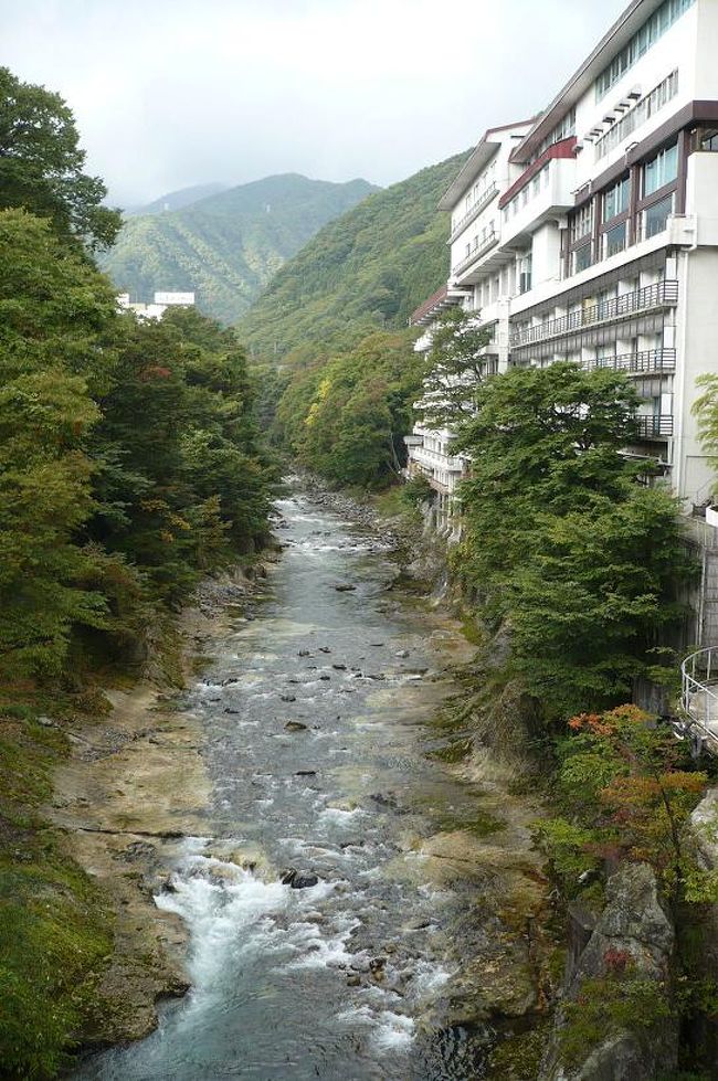 群馬県って、新潟方面へスキーに行く時などに<br />通ることはあっても、立ち寄ることが今までほとんどありませんでした。<br /><br />谷川岳は関東屈指の紅葉のメッカ。<br />前から（行ってみたいな～）と思いつつも<br />いつも、素通り、素通り…で<br />なかなか実現することがありませんでした。<br /><br />今回は、ネットで水上近辺の宿をいろいろ見ていたところ<br />紅葉シーズンなのに、良心的な価格の宿を見つけたので<br />思わず、予約してしまったというわけです。<br /><br />水上からなら、谷川岳も近いし～♪<br /><br />でも、問題は水上温泉や谷川岳に関する情報が<br />予想外に少なくて、ネットもガイドブックも、ほんの数ページしか載っていないんです。<br /><br />旅行は事前の情報収集が命なのに～(^o^;<br /><br /><br />そんなこんなで出発した水上温泉旅行、<br />一体どんな感じだったのでしょうか。<br />どうぞご覧ください(笑)<br /><br /><br />◆旅の概略◆<br /><br />個人旅行。<br />往復のルートは別々。<br /><br />行き→ＪＲ特急水上号利用（上野駅→水上駅）<br />帰り→上越新幹線利用（上毛高原駅→東京駅）<br />　　※ＪＲ水上駅→上毛高原駅までは路線バスで片道２５分ほど<br /><br /><br /><br />【参考サイト】<br /><br />◆水上観光情報サイト「まるごと水上」<br />http://www.minakami-onsen.com/<br /><br />◆水上料理飲食店組合<br />http://minakami.com/inshoku/<br />