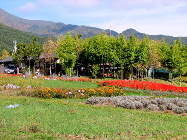 箕輪のはびろ見晴らしファームから、伊那市高遠〜長谷村に入り、三峰川沿いに南へ。長谷村は平家の落人の里、美和ダムを横切り、ここから千丈岳への登山道&三峰川と別れ、駒ヶ根方面へ。<br />暫く走るとゼロ磁場の分杭峠に着く。<br />高遠藩分杭峠と書かれた峠には、沢山の方が訪れている。<br />癒しの地として有名になって10年ほど経つか。<br />効能は定かでないが、湧き水を汲みにくる人が後を絶たない。<br />ここから少し戻って、駒ヶ根市内に出ると、農道を経て飯島町。<br />コスモス祭りの最中だった。<br />飯島から、暫くコスモス街道を走ると果物の里松川町へ。<br />町全体が果物の里だ。<br />ここまでくると、飯田市までは30分だ。