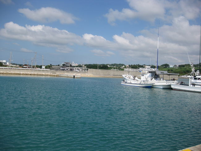 きれいな海でアオリイカに会いに行ってきました!