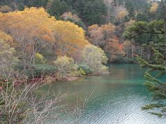 紅葉の志賀高原