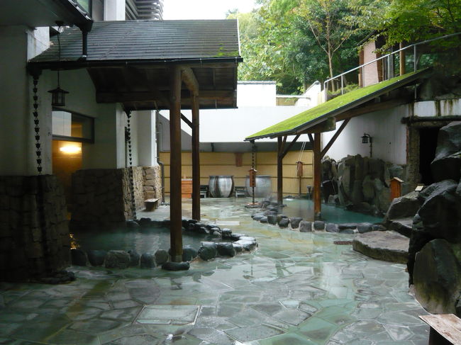 箱根の湯 花紋へ行ってきました。箱根湯本に宿泊するのは初めてでしたが21時頃に到着したらセブンイレブンくらいしか見つからず強羅で夕飯を食べてきて良かったなあと思いました。この宿の温泉は非常にバラエティに富んでいてとっても良かったです。(夜2回朝1回楽しみました)部屋も館内も清潔だったので非常に快適でした。
