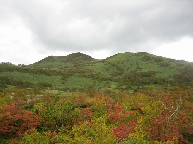 標高が1000前後の気軽に登れる山が点在しているので、その一つイワオヌプリに登ってみる。<br />昨日ほどではないが、朝から小雨が降っているので、レインウエア上下を着込んで五色温泉旅館を出発。<br />旅館に置いてあったニセコの見所を紹介した冊子に、イワオヌプリでは沼めぐりができると紹介されていたので、一番大きな沼、大沼まで行ってみることにする。<br />沼めぐりのルートはイワオヌプリ山頂への道の分岐点で別れるので、まずはイワオヌプリ頂上をめざし、一度この分岐点に戻り大沼までの散策を続ける。<br />このあたりの山では最高峰のアンヌプリにも登ってみたかったけど、今回は天気が悪いのでやめておく。<br />アンヌプリはスキー場で有名な山で、何箇所か登山コースがあるようだ。