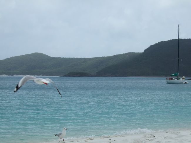 ３連休を利用して、ハミルトン島に４泊６日の旅に行ってきました。<br />思っていたより混んでいるところでしたが、リゾートを満喫しました。<br /><br />宿泊先：ビーチクラブ<br />アクティビティ：<br />バンジョーパターソン　ホワイトヘブンビーチ<br />リーフワールド　フライ／クルーズ<br />レストラン:<br />ビーチクラブラウンジ<br />ステーキハウス<br />マリナーズ<br />ロマーノズ