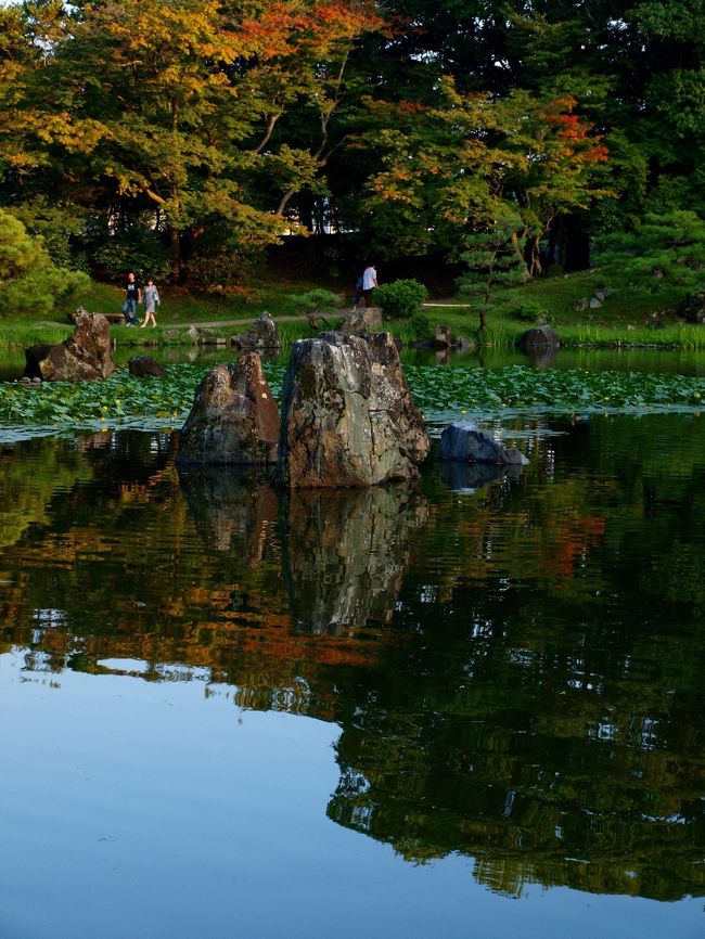 彦根城の北側に位置し、近江八景を模して作庭されたといわれる廻遊式庭園の玄宮園。<br />紅葉の時期はまだ先だけど、既に色づき始めているものもあり、水面に映る表情は大変豊かで魅力的だった。<br />贅沢な美が凝縮された、江戸初期の大名庭園をゆっくり散策した。