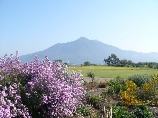 筑波山ラクラク登頂計画 女体山 編 筑波山周辺 茨城県 の旅行記 ブログ By にゃんこ姫さん フォートラベル