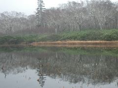 みんなの湿地帯、神仙沼を歩く