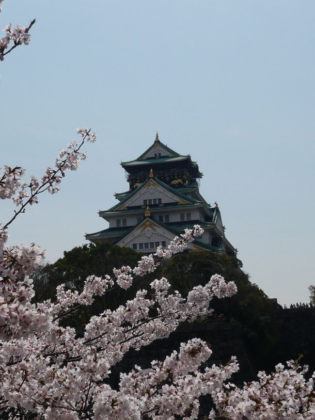 桜がちょうど満開の大阪へ、タイミングよく出張が入りました。<br />ツライ出張も桜が咲いているというだけで、<br />なんだか楽しく思えます。