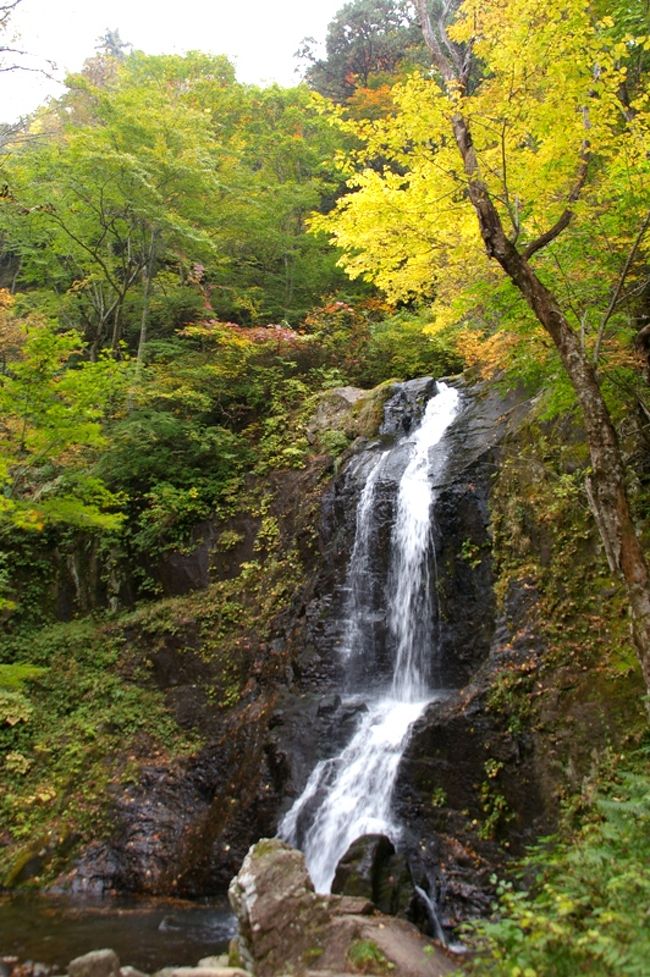 高山市・国府町の宇津江四十八滝へ○○年ぶりに行ってきました。<br />＊付近は紅葉が見頃になっていました。<br />＊滝の少し下にある，花の森の今年（6月）の「九輪草」は下記に載せていますので参考に。<br />　[&#39;08-15]宇津江４８滝公園・花の森の「九輪草」：http://4travel.jp/traveler/tabi-jin/album/10247180/<br />