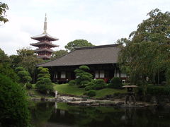 江戸東京紀行（伝法院（でんぼういん） 庭園初公開、浅草寺の巻）