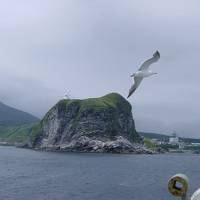 日本最北端を訪ねる旅～稚内、利尻島、礼文島～