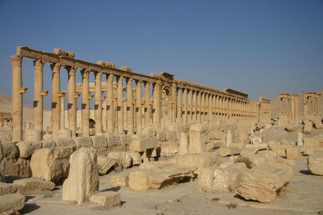 シリア最大の遺跡パルミラの旅行記。<br /><br />アレッポから途中ホムスでバスを乗り継いで夕方に到着。<br />そういえば、ダマスカスもアレッポもバスターミナルは全て街の郊外に移設されたらしい。<br /><br />到着した日は夕方パルミラ近くを歩いていると、有名な「スズキ・タカシ」に出会い、ベドウィンのいるキャンプ地へ。<br /><br />パルミラは砂漠地帯にあり昼間は暑くなるので、朝8時に行き10時くらいには引き返してきました。。