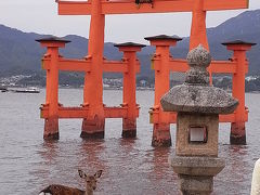 安芸の宮島☆鹿の島