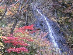 信州紅葉狩り?　志賀高原から秋山郷へ