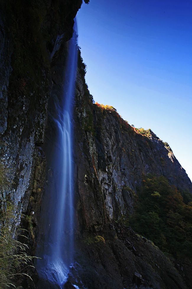 米子大瀑布は、長野市の東の山中、須坂市にある滝です。<br />長野県内では乗鞍高原の「三本滝」、南木曽町の「田立の滝」と共に、日本の滝百選に選ばれています。<br />(「私は「よなご〜」と思ってましたが、実際は「よなこ〜」と読みます)。<br />鳥取県の米子市に有ると勘違いなさってる方もいるようです。<br /><br />米子大瀑布とは権現滝と不動滝という二つの滝からなり、<br />その二つを称して米子大瀑布と呼んでいます。<br />いずれも直瀑で、落差は駐車場から近い右手側の不動滝が85m、<br />左側の権現滝が75mとされています。<br /><br />上信越自動車道・須坂長野東インターチェンジから国道403号、<br />国道406号などを経由して約40分で無料駐車場に至ります。<br />但し、秋の紅葉シーズンの休日にはマイカー規制が実施され、<br />訪れる人はシャトルバスを利用することとなります。<br /><br />詳細は下記URLをご覧ください。<br /><br />http://www.city.suzaka.nagano.jp/shoukou/kanko/yonako/index.php<br /><br /><br /><br />また、冬季、雪が降ると標高の高いところでは道路が凍結するため、通行止めとなります。<br />訪れる際は事前に確認なさることをお勧めします。<br /><br />さて、大瀑布周辺には1周約1時間半の遊歩道が整備されています。<br />駐車場から進むと遊歩道が二つに分かれますが、右回りをお勧めします。<br />左は長い急坂を登ることとなりますし、右を進んだ方が坂もなだらかで、早く滝に到着します。<br />二つの滝を個々に見て、(不動滝は滝直下に行くことが出来ます。)<br />更にに進むと旧・米子鉱山の鉱滓堆積場跡地に作られた公園に到着します。<br />ここからの眺望が並んだ滝を見ることの出来る絶景ポイントです。<br />そこで引き返してもいいですし、もう少し頑張れば10分程度であずまやのビューポイント、<br />更には奇妙滝に到着します。あずまやの脇を下れば先ほどの分岐点に一周した形で戻ります。<br /><br />滝は群馬県との県境にある日本の百名山、四阿山(あずまやさん)と根子岳の北側の懸崖にかかります。<br />このあたりは信州一、二を争う紅葉の名所とのことで、私もその美しさに本当に感動しました。<br />ただ、上高地や乗鞍、その他と比べてマイナーな感があるのはなぜでしょう。。宣伝不足なのでしょうか?<br /><br />ちなみに不動滝を「白龍の滝」、権現滝を「黒龍の滝」とし、<br />二つを総称し「双龍の滝」とする呼び名もあるそうです。<br />確かに下から見上げると天に昇る双龍に見えます。<br />是非、この素晴らしい絶景を見に訪れてください。<br /><br /><br />最後にご参考までに。。<br />撮影に関してですが、北向きの絶壁の為、逆光状態時間が長くなります。<br />断崖は影となり、更に晴れると明暗差が大きいので、美しい写真を撮りにくいです。<br />早朝もしくは曇天のほうが良いように思います。<br />また、紅葉の季節は日が短くなっており、すぐ暗くなります。<br />冷え込みますので、服装にも注意が必要だと思います。<br />