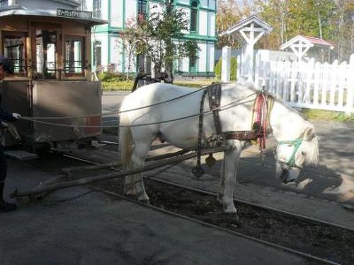 ２００８年１０月 北海道旅行（２：函館～帯広）』北海道の旅行記