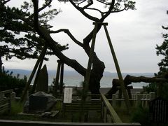 【2006年夏 一人旅日本旅行】名古屋から静岡・三保の松原へ