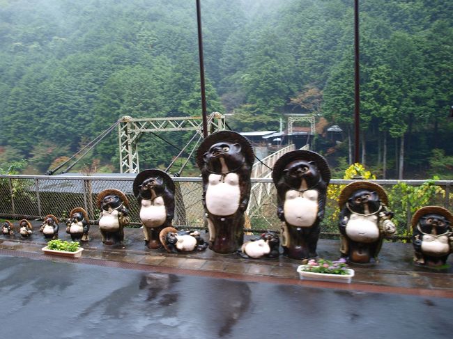 時代祭りで混み合う京都の町。二条城にも行く予定でしたが、雨も降っているし、道路も大渋滞、予約しているトロッコ列車の時間の関係もあり、旅行社のスタッフと相談してパス。とりあえず嵯峨野へと向います。今日の宿泊は亀岡にある湯の花温泉。京都にもちゃんと温泉があったのですね。この湯の花温泉へは、いったんバスを降りて嵯峨野から走るトロッコ列車に乗って終点亀岡までの保津川の景色を愉しみながら移動し、ここからまた先回りしたバスに乗って湯の花温泉へ入ると言う行程です。<br />雨が降っていて観覧車両にも乗れないのではと、ちょっと心配していたのですが、予想に反してほとんどのお客様が雨の中、側面と床を格子にして屋根の３分の２がガラス張りにしたリッチ号に移動して自然を愉しんでいました。乗車して発車時間までの数分間に、車掌さんの「時間があるのでここで１曲披露します」と、マイク片手に歌いだし、途中駅でももう１曲の大サービスの車掌さんのエンターテナーぶりにお客様たちは大うけでした。<br />これが紅葉の季節なら、もっときれいなんでしょうね。