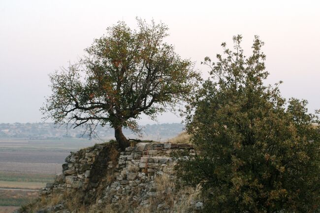 2008秋、トルコ旅行記2(7/47)：10月16日(2)：トロイ遺跡、遺跡発掘の場所、日干し煉瓦保存のテント