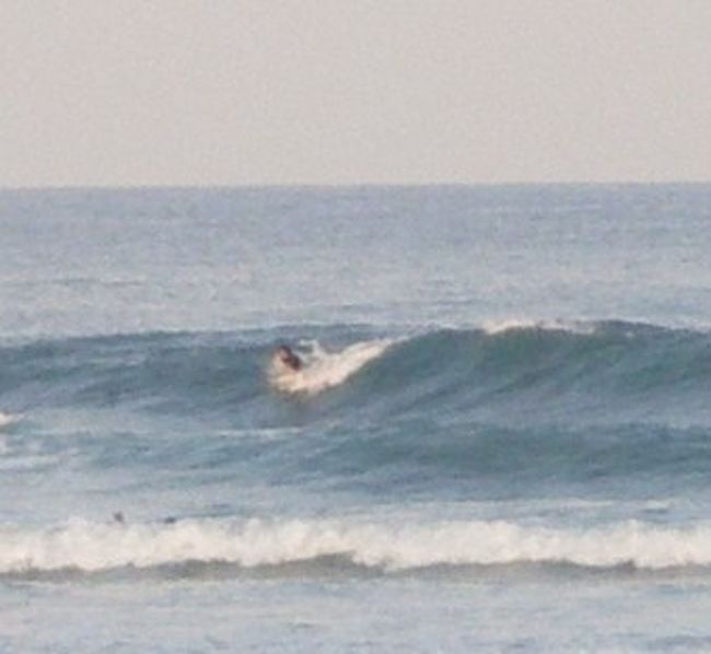 山や海で景色も最高。。。<br />焼鳥もうめぇかった！