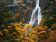 『日本の滝百選』　紅葉の精進ヶ滝（しょうじがたき）/（北精進ヶ滝）　　赤と黄の絶景　　/　山梨県北杜市