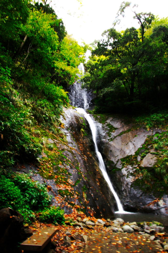 山陰方面に滝など自然の風景お観て回った。