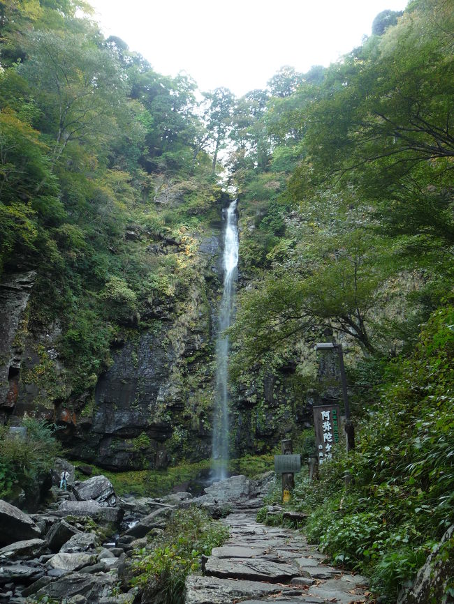 前日の山代温泉泊〜白山スーパー林道〜ひるがの高原と走ってきた今回の旅行の最終目的地／日本の滝百選『阿弥陀ケ滝』にやって来ました。<br /><br />水量こそ多くありませんでしたが、とても優雅で美しい姿に感動！！さすがは“百選滝”です。<br /><br />日本の滝百選はこれで41ヶ所めとなりました。<br />当面の目標まであと9ヶ所、頑張らなくては...。