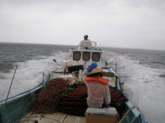 南島原市滞在記　４：漁業体験