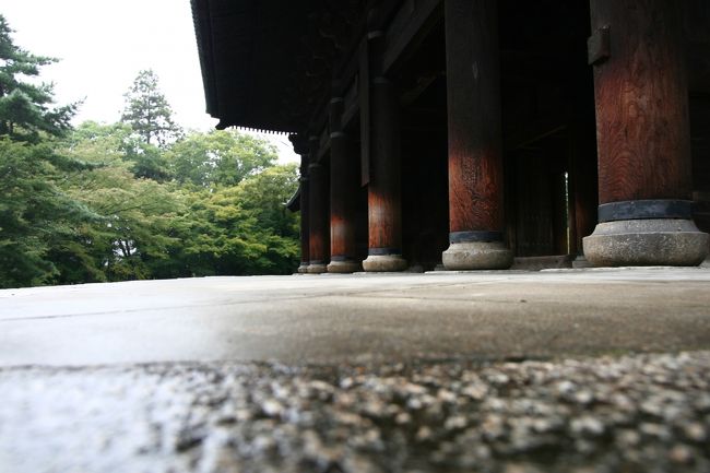 京の都では、紅葉シーズンを迎えてさぞや活気に溢れている事と思い浮かべながら、今シーズン最後に一泊二日の都旅をした、少し遅れ気味の旅行記です。（デビュー旅行記）<br /><br />何所に行こうかと、京都に御住まいの古い友人に相談したりしながら、雨脚に足を止められ最後まで予定変更の都路でした。<br />新幹線を降り立った時、雨だから「大原」と決めました。<br />これまでにも、オールシーズン感動させてもらった恩恵に授かろうと、スタートを切りました。<br />当日は仁和寺に宿坊させていただきました。<br /><br />大原:宝泉寺・三千院<br />岩倉:実相院<br />下賀茂神社<br /><br />