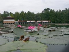 2008年欲張り夏休みヨーロッパ旅行5日目Hévíz、Keszthely