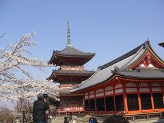 ☆我が子の旅立ちと桜・・・京都にて