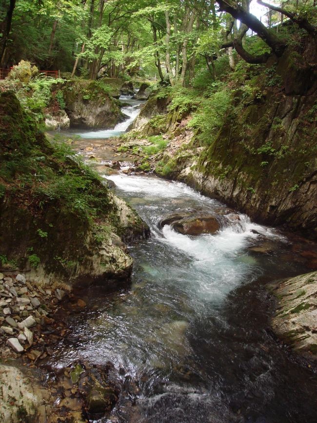 マイレージが貯まったので、気ままな一人旅に出ることにしました。<br />今回の旅の目的は、日本三大鍾乳洞のひとつ、龍泉洞を見に行くこと。<br />でも、それだけではもったいない。<br />せっかくの東北旅なので、盛岡でジャジャ麺、八戸では海鮮ラーメン、浅虫温泉ではホタテの炊き込みご飯、三内丸山遺跡では縄文定食を食べ歩き。<br />誰にも束縛されない気ままな一人旅でした。