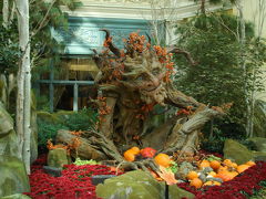 Harvest Show 2008＠Bellagio