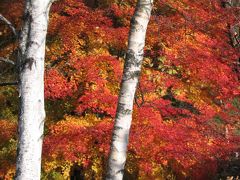 秘湯の秋　紅葉の葛（くず）温泉