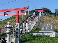 みちのく一人旅?-02天然記念物のウミネコ繁殖地はも抜けの殻・「蕪島」