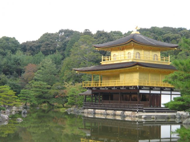 朝はホテルでゆっくりして、２日目の観光に出かけました。<br /><br />行ったお寺は護王神社、妙心寺、金閣寺、下鴨神社です。<br /><br />紅葉はまだでしたが、京都を楽しめました。<br /><br />妹と２人で旅行なんて初めてでしたが、気楽だったし、いろいろ話しながら、観光できて楽しかったです。<br />妹も「意外と楽しかった」なんて言っていて、今まであまり遠出したがらなかったけれど、単に出不精だっただけらしいです。<br /><br />京都に行けなかった母親にお土産を買ってかえりました。<br /><br />帰りは適当な時間の電車がなくて、夜７時頃のひかりのグリーンで帰りました。<br />グリーン車って広々しているし、おしぼりも配ってくれるんですね。<br />のぞみでなかったので、ちょっと時間はかかりましたが、快適でした。