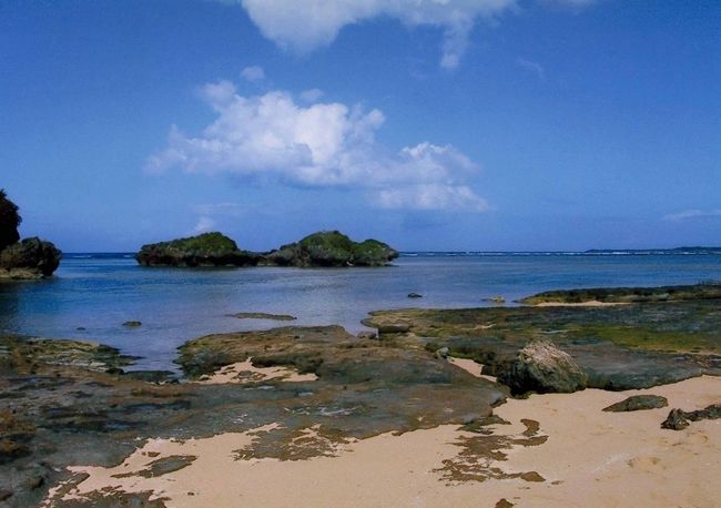 　西表島は過去４回行っているが、ツアーで行くと２コースに分かれる。観光スポットが２箇所に分かれているに他ならない。１箇所は仲間川の遊覧と、由布島観光など。今一箇所は浦内川の遊覧とマリュードの滝、星の砂海岸などの観光である。<br />　西表島は沖縄本島に次ぐ面積を持つ島であるが、海岸線を除けば熱帯、亜熱帯の原生林に覆われている。西表島は菱形状の島で玄関口は島の東側大原港であり、仲間川、由布島はこの港からは近い。浦内川、マリュドウの滝は、大原港の対極、北側にあり、バスで海岸沿いに走り、１時間近くかかったように記憶している。<br />　仲間川、浦内川遊覧の見所は川の左右に密生するマングローブであり、これは亜熱帯ならではの景観である。マングローブとはオヒルギ、メヒルギなどの総称であるが木の根が蛸足状に水中から顔を出しており、奇怪な樹木であった。一度オヒルギだったか、メヒルギだったか鉛筆よりやや太目で２０センチぐらいの筒状の木をお土産にもらい、水にさしておけば根が出て挿し木ができると聞き、早速試してみたが根が出なかった。木をほぐしてみると巻物を思わせるような軟らかさで、おそらく木材としての利用価値が乏しく、原生林のまま今日に至っていると想像したのを今もって記憶している。<br />　八重山諸島の土産品店にビン詰めされた星の砂がある。八重山諸島で星の砂海岸として知られるのは竹富島と、西表島である。この両海岸で星の砂を採集したが、一握りの砂の中にあっても数個程度、はっきりした星型の砂と、丸い飲み薬の縁にとげが出ているような形のものもある。<br />　ガイドに聞くと有孔虫の殻だと言う。土産品のビン詰めの量をこの海岸で採集すれば、とてつもない高額になるが、と尋ねると西表島の北、東シナ海に浮かぶ鳩間島で採集された物だと言う。観光客は両海岸で星の砂を見つけた喜びもあるが、傍らでビン詰めされた星の砂が数百円で売られているのを見ると興ざめするも甚だしいと思ったのは私だけだったか。<br />　西表島観光の目玉に由布島観光がある。この島全体が亜熱帯の樹木と花の庭園である。<br />縦横に散策路があり亜熱帯の雰囲気を満喫できる。この島の今ひとつの観光目玉は水牛車である。西表島との間に橋がなないので、観光客はすべて水牛車で渡る。水牛の年齢などによって乗車定員は異なるが、１５人前後であったように記憶している。干潮時には車が走れる程度の砂浜が現れるが、満潮時は水牛の膝ぐらいの水位になる。この中を水牛車が隊列を組んで渡る光景は絵になるし、また海水に浸った牛車をひく水牛に哀れさを覚えたのも忘れられない。<br />　行き帰りの水牛車では車夫（船で言えば船頭だが、水牛車での呼び名は知らない。）が、安里屋ユンタなど沖縄民謡を三線（さんしん）の弾き語りをしてくれる。かなりの年配者であったが、三線、声とも実に響きが良かったので、お世辞も加えて褒めたところ、代表的な沖縄民謡と自作の曲の弾き語りを収めたカセットテープと手書きした歌詞のコピーとともにもらった。一度聞いただけだがいい思い出になった。<br />　ところでこの水牛は他の動物と違い皮膚による体温調節が出来ない。水に体を浸すことによって体温調節をしなければならない動物である。水牛車を引く水牛も島と島の間を往復したあと交代し池に入る。<br />　水牛は牛車を背に柄を掛けて引くが、仕事が終わり飼い主が首輪をはずすと頭を下げ、背から牛車の柄を長い角を巧みによけながら取り外しをする。また、柄を背に掛けるときも牛車に誘導すると自ら掛ける。つまり脱着は自ら行う優れものである。教え込んだものであることに違いないが、それにしても感心させられる。<br />　西表島に行ってから丁度５年になるが、西表島のいたる所に竹富町役場の移転運動の比較的新しい看板があった。八重山諸島のうち石垣島と与那国島を除いた他の島々によって竹富町は構成されているが、竹富町役場は石垣島港の近くに置かれている。町の行政を司る町役場が町外に置かれている類例があるかどうか知らないが、たまたま役場の移転機運が高まったと言うことだろう。このような看板は実は波照間島にも立っていた。<br />　竹富町の前身八重山村の時代竹富島に役場が置かれていた一時期もあったようだ。島々への交通の基点であるほか、物流などの拠点が石垣島であったことから、石垣島に役場を移転したと容易に考えられるが、実態は今も変わっていない。島の規模などから移転を考えれば西表島かもしれないが、西表島は冒頭にも若干触れたが、居住区域、観光施設など島の海岸線に沿って点在しているのみである。しかも島の周囲３分の１以上は行き着く道はなく、さながら陸の孤島であり、大部分は熱帯、亜熱帯の原生林に覆われた秘境である。移転によって、人、物の流れが変わり、環境をも替える可能性を秘めているとは思うが・・。その善悪は余人には分らない。<br />　竹富町の役場は今も石垣島に置かれていることに変わりは無い。　<br />　<br />　<br />　