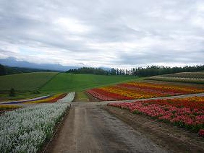 2泊3日の北海道への旅。冬にしか行ったことがなかったので、夏の季節に是非行ってみたかったんです。期待していた通り、富良野では眼下に目を瞠るような光景がずっと続いていました。気持ちもゆったりとして、日頃の喧騒を忘れさせてくれるそんな3日間でした。