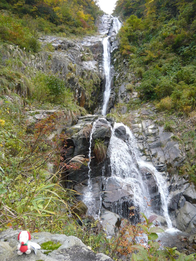 11月前半の三連休の中日、滝めぐりをしようと候補地を考えましたが、紅葉していそうで渋滞が比較的少ないであろうという福井県に決定！<br /><br />《その１》は、大野市にある『仏御前の滝』です。